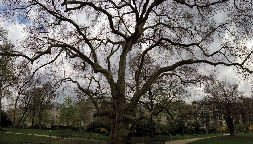 WP_20170328_14_35_00_Panorama