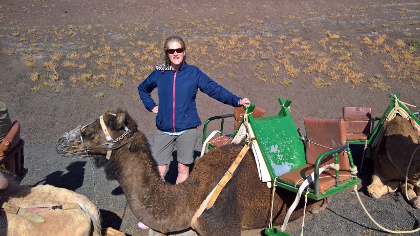 WP_20170405_10_20_32_Rich